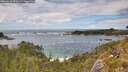 ./images/calvert/foggy-cove/20260610/foggy-cove20260610_153501M.jpg