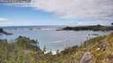 ./images/calvert/foggy-cove/20260610/foggy-cove20260610_163501M.jpg