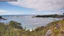 ./images/calvert/foggy-cove/20260610/foggy-cove20260610_164001M.jpg