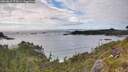 ./images/calvert/foggy-cove/20260610/foggy-cove20260610_173001M.jpg