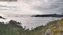 ./images/calvert/foggy-cove/20260610/foggy-cove20260610_192001M.jpg