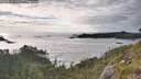 ./images/calvert/foggy-cove/20260610/foggy-cove20260610_192501M.jpg