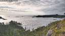 ./images/calvert/foggy-cove/20260610/foggy-cove20260610_193001M.jpg