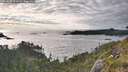 ./images/calvert/foggy-cove/20260610/foggy-cove20260610_193502M.jpg