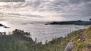 ./images/calvert/foggy-cove/20260610/foggy-cove20260610_194001M.jpg