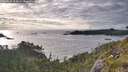 ./images/calvert/foggy-cove/20260610/foggy-cove20260610_194501M.jpg