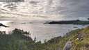 ./images/calvert/foggy-cove/20260610/foggy-cove20260610_195501M.jpg