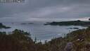 ./images/calvert/foggy-cove/20260611/foggy-cove20260611_045501M.jpg