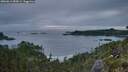 ./images/calvert/foggy-cove/20260611/foggy-cove20260611_050001M.jpg