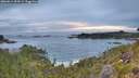 ./images/calvert/foggy-cove/20260611/foggy-cove20260611_054501M.jpg