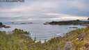 ./images/calvert/foggy-cove/20260611/foggy-cove20260611_055501M.jpg