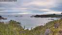 ./images/calvert/foggy-cove/20260611/foggy-cove20260611_060501M.jpg