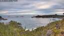 ./images/calvert/foggy-cove/20260611/foggy-cove20260611_062001M.jpg
