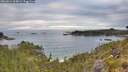 ./images/calvert/foggy-cove/20260611/foggy-cove20260611_064001M.jpg