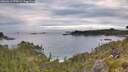 ./images/calvert/foggy-cove/20260611/foggy-cove20260611_070501M.jpg
