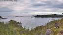 ./images/calvert/foggy-cove/20260611/foggy-cove20260611_071001M.jpg