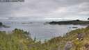 ./images/calvert/foggy-cove/20260611/foggy-cove20260611_080501M.jpg