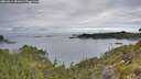./images/calvert/foggy-cove/20260611/foggy-cove20260611_081001M.jpg