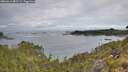 ./images/calvert/foggy-cove/20260611/foggy-cove20260611_082501M.jpg