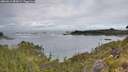 ./images/calvert/foggy-cove/20260611/foggy-cove20260611_083002M.jpg