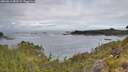 ./images/calvert/foggy-cove/20260611/foggy-cove20260611_083501M.jpg
