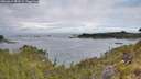 ./images/calvert/foggy-cove/20260611/foggy-cove20260611_084501M.jpg