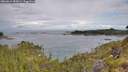 ./images/calvert/foggy-cove/20260611/foggy-cove20260611_085001M.jpg