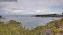./images/calvert/foggy-cove/20260611/foggy-cove20260611_085501M.jpg