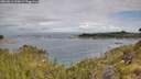 ./images/calvert/foggy-cove/20260611/foggy-cove20260611_090001M.jpg