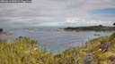 ./images/calvert/foggy-cove/20260611/foggy-cove20260611_090501M.jpg