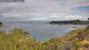 ./images/calvert/foggy-cove/20260611/foggy-cove20260611_091001M.jpg