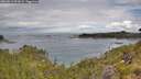 ./images/calvert/foggy-cove/20260611/foggy-cove20260611_092001M.jpg