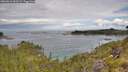 ./images/calvert/foggy-cove/20260611/foggy-cove20260611_093502M.jpg