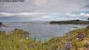 ./images/calvert/foggy-cove/20260611/foggy-cove20260611_094001M.jpg