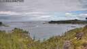 ./images/calvert/foggy-cove/20260611/foggy-cove20260611_095001M.jpg