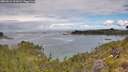 ./images/calvert/foggy-cove/20260611/foggy-cove20260611_101001M.jpg