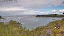 ./images/calvert/foggy-cove/20260611/foggy-cove20260611_101501M.jpg