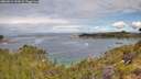 ./images/calvert/foggy-cove/20260611/foggy-cove20260611_102002M.jpg