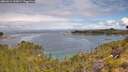 ./images/calvert/foggy-cove/20260611/foggy-cove20260611_103001M.jpg