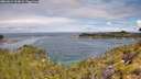 ./images/calvert/foggy-cove/20260611/foggy-cove20260611_104001M.jpg