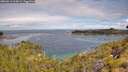 ./images/calvert/foggy-cove/20260611/foggy-cove20260611_104501M.jpg