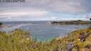 ./images/calvert/foggy-cove/20260611/foggy-cove20260611_105001M.jpg