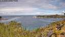 ./images/calvert/foggy-cove/20260611/foggy-cove20260611_105501M.jpg