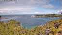 ./images/calvert/foggy-cove/20260611/foggy-cove20260611_110001M.jpg