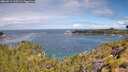 ./images/calvert/foggy-cove/20260611/foggy-cove20260611_110501M.jpg