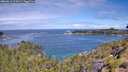 ./images/calvert/foggy-cove/20260611/foggy-cove20260611_111001M.jpg