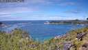 ./images/calvert/foggy-cove/20260611/foggy-cove20260611_112001M.jpg