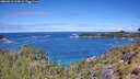 ./images/calvert/foggy-cove/20260611/foggy-cove20260611_114502M.jpg