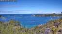 ./images/calvert/foggy-cove/20260611/foggy-cove20260611_115001M.jpg