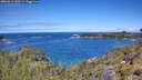 ./images/calvert/foggy-cove/20260611/foggy-cove20260611_120501M.jpg
